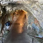 Malvazios #3